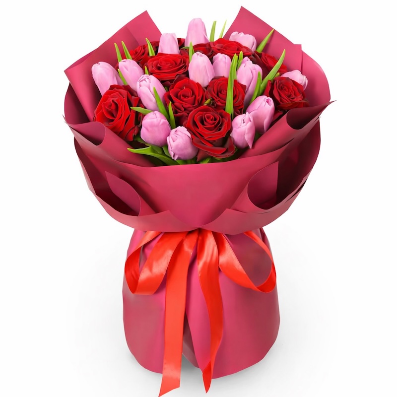 Kiraz �i�e�i - K�rm�z� G�l pembe Lale