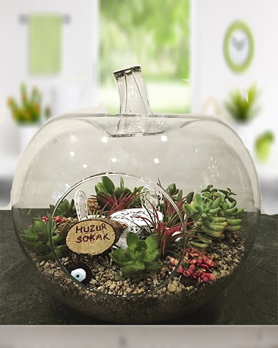 elma-fanus-terrarium-aranjman