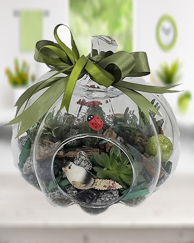 elma-fanus-terrarium-aranjman